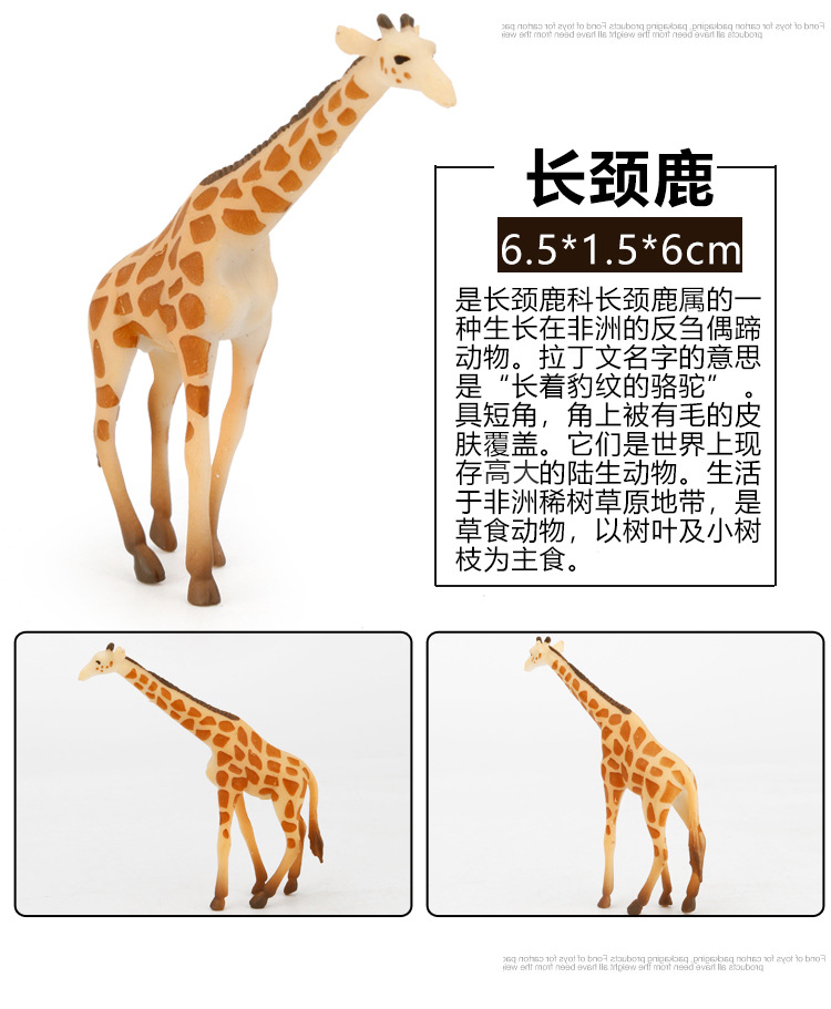 Early Childhood Education Toys Dinosaur Marine Animal Sand Table Scene Science and Education Cognitive Model Matching Recognition Study Card Early Childhood Education Toys Dinosaur Marine Animal Sand Table Scene Science and Education Cognitive Model Matching Recognition Study Card