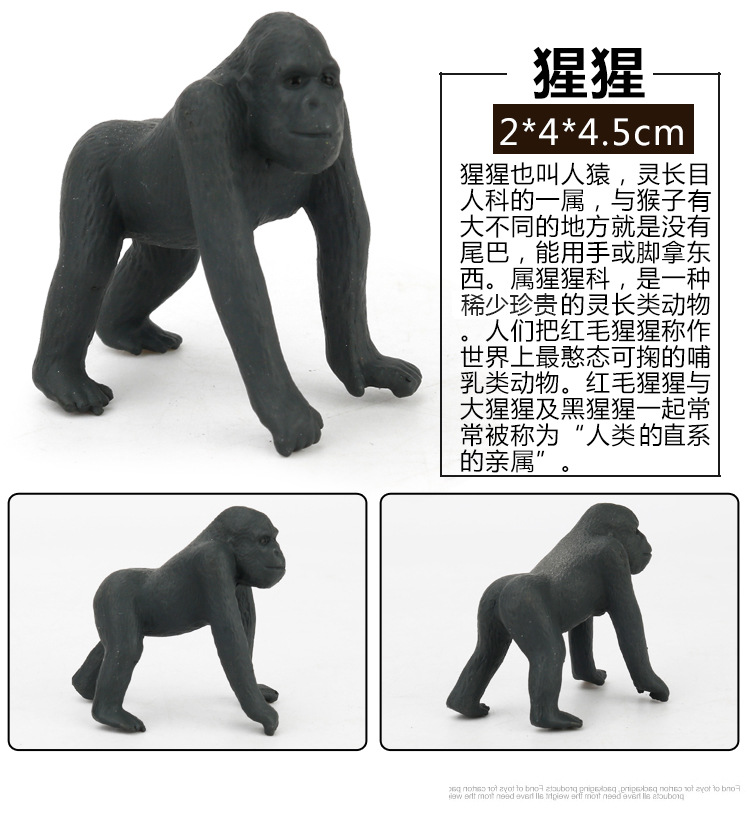 Early Childhood Education Toys Dinosaur Marine Animal Sand Table Scene Science and Education Cognitive Model Matching Recognition Study Card Early Childhood Education Toys Dinosaur Marine Animal Sand Table Scene Science and Education Cognitive Model Matching Recognition Study Card