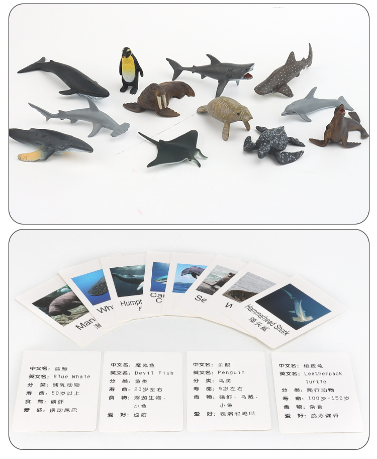 Early Childhood Education Toys Dinosaur Marine Animal Sand Table Scene Science and Education Cognitive Model Matching Recognition Study Card Early Childhood Education Toys Dinosaur Marine Animal Sand Table Scene Science and Education Cognitive Model Matching Recognition Study Card