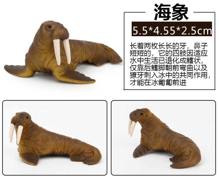 Early Childhood Education Toys Dinosaur Marine Animal Sand Table Scene Science and Education Cognitive Model Matching Recognition Study Card Early Childhood Education Toys Dinosaur Marine Animal Sand Table Scene Science and Education Cognitive Model Matching Recognition Study Card