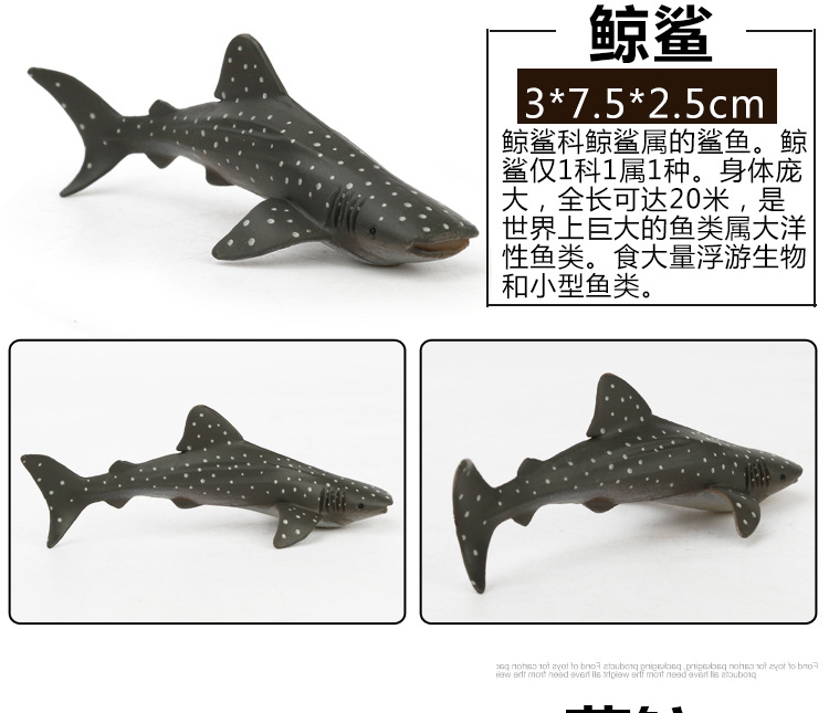 Early Childhood Education Toys Dinosaur Marine Animal Sand Table Scene Science and Education Cognitive Model Matching Recognition Study Card Early Childhood Education Toys Dinosaur Marine Animal Sand Table Scene Science and Education Cognitive Model Matching Recognition Study Card