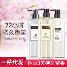 Trending on TikTok Same Style Fragrance Lasting Exquisite Shampoo Conditioner Shower Gel Suit Shampoo Paste 500ml Trending on TikTok Same Style Fragrance Lasting Exquisite Shampoo Conditioner Shower Gel Suit Shampoo Paste 500ml