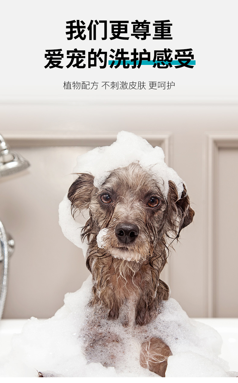 Spot Factory Pet Shower Gel Cat Bath Wash Cleaning Supplies Deodorant Fragrance Pet Cat Body Lotion Shampoo Spot Factory Pet Shower Gel Cat Bath Wash Cleaning Supplies Deodorant Fragrance Pet Cat Body Lotion Shampoo