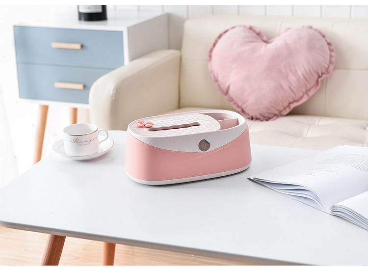 Simple and Elegant Rectangular Household Paper Extraction Box Beautiful Shape Household Living Room Simple Tissue Box Two-Color Optional