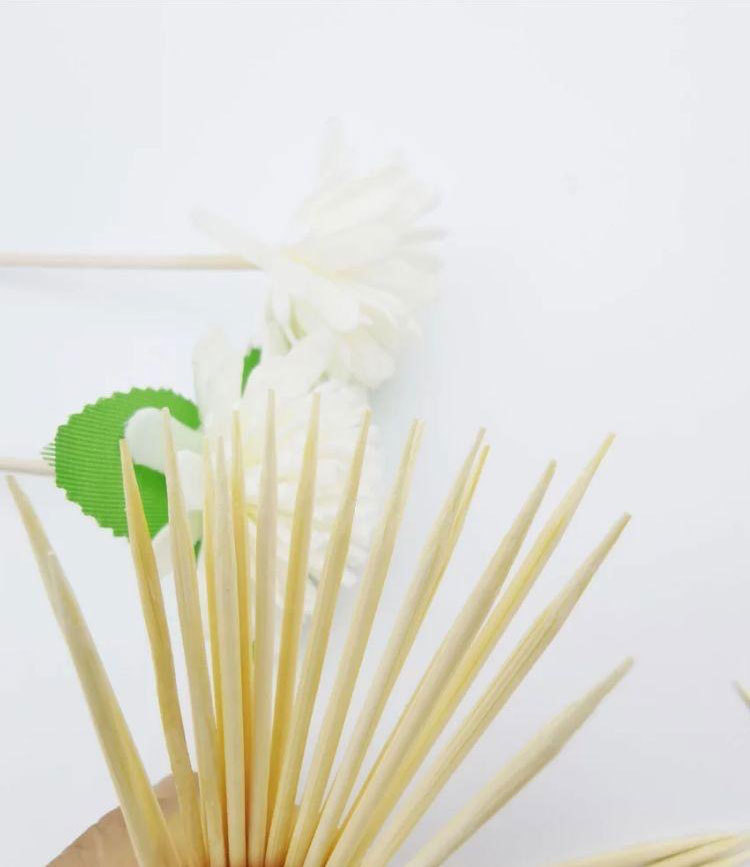Flip Disposable Toothpick Portable Bamboo Two-Pointed Toothpick English Packaging Toothpick Household Fruit Toothpick