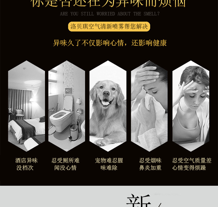 Lobeiqi Air Freshing Agent Automatic Aerosol Dispenser Perfume Fragrance Deodorant Quantitative Spray in Bedroom