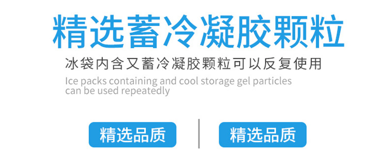 Disposable Ice Pack Thickened Water Injection Refrigeration Cooling Food Fresh Fresh Preservation Ice Bag Plastic Water Injection Ice Bug