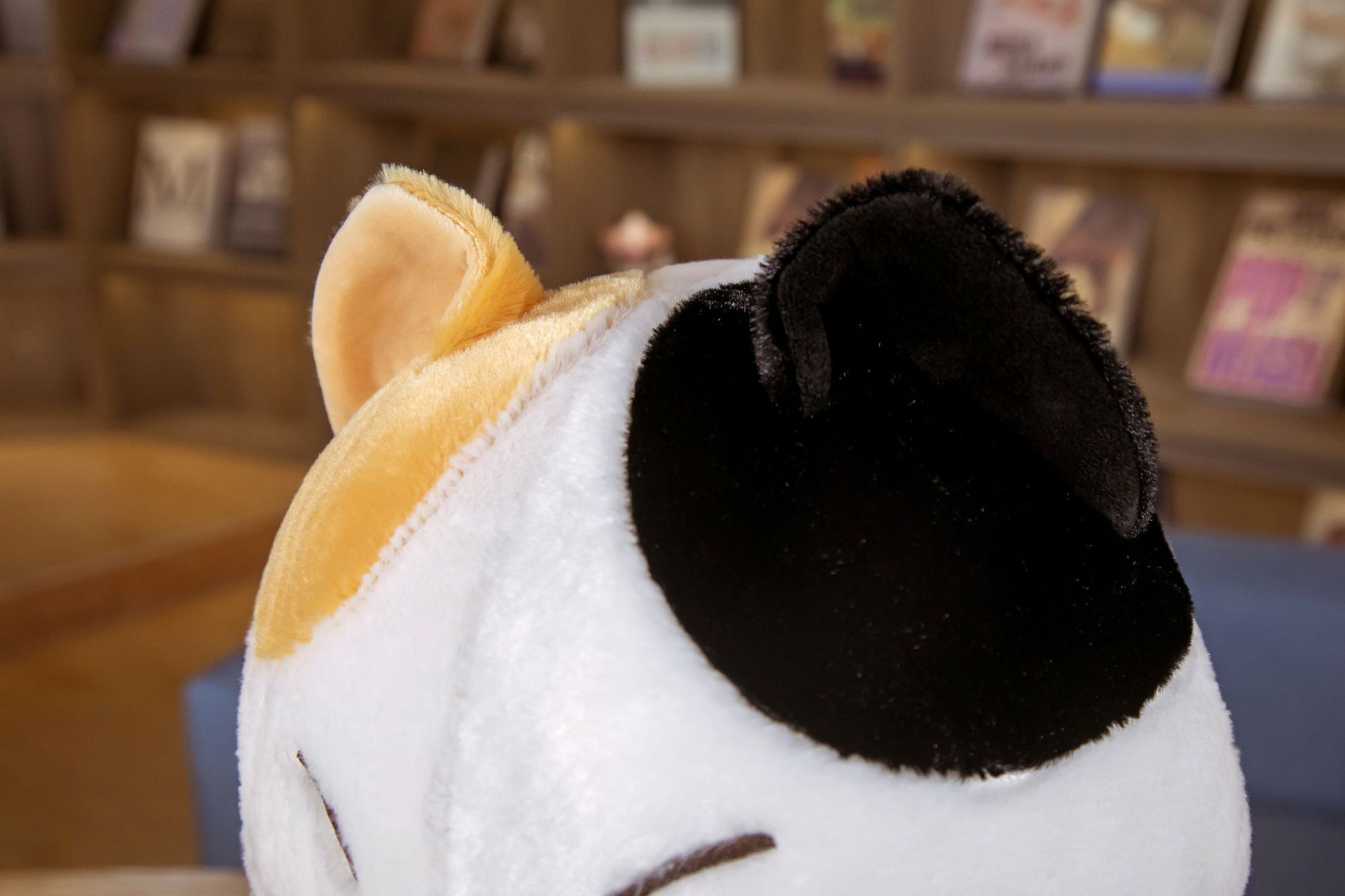 Beard Steamed Bread FUQI Cat Fortune Cat Alien Cat Plush Toy Doll Cross-Border Hot Selling Products Beard Steamed Bread FUQI Cat Fortune Cat Alien Cat Plush Toy Doll Cross-Border Hot Selling Products
