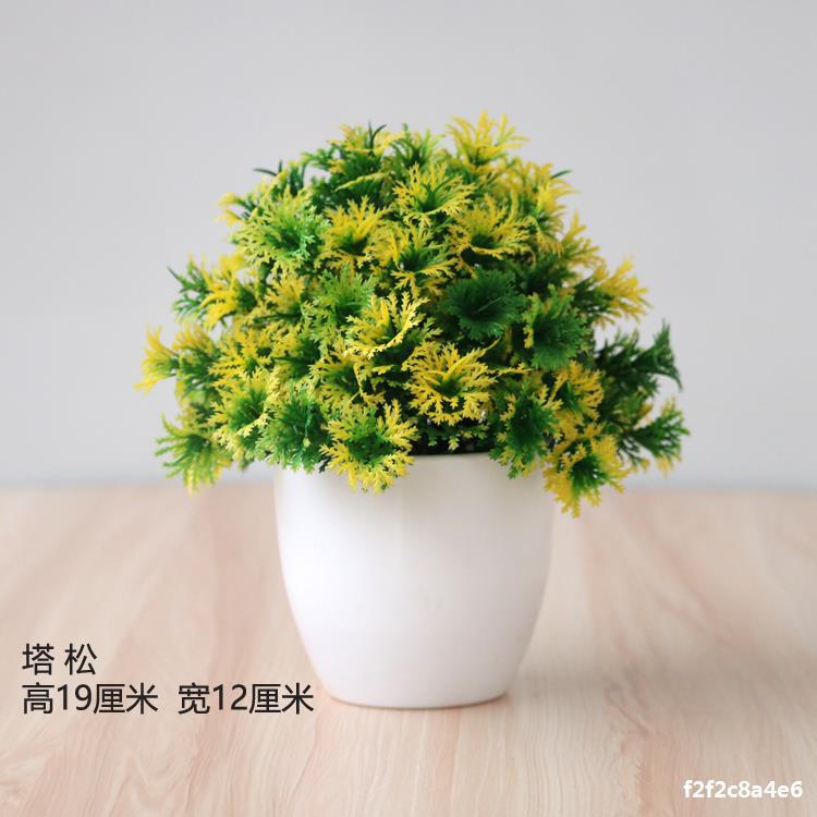 Artificial plant small potted plant small tree grass bulb bonsai home living room desktop decorations small decorations set Artificial plant small potted plant small tree grass bulb bonsai home living room desktop decorations small decorations set