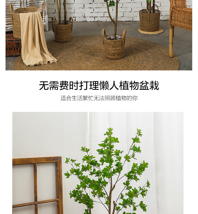 Artificial Plant Japanese Bell Fake Green Plant Potted Indoor Decoration Nordic Ins Bonsai Decoration Artificial Bell Tree Artificial Plant Japanese Bell Fake Green Plant Potted Indoor Decoration Nordic Ins Bonsai Decoration Artificial Bell Tree