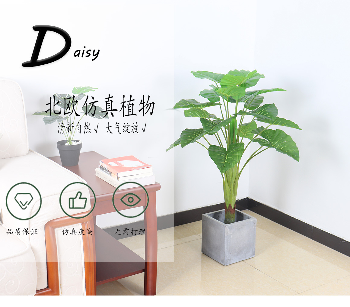 Decorations Artificial Green Plant Plastic Fortune Tree Alocasia Macrorrhiza Sunflower Evergreen Small Potted Plant Decorations Artificial Green Plant Plastic Fortune Tree Alocasia Macrorrhiza Sunflower Evergreen Small Potted Plant
