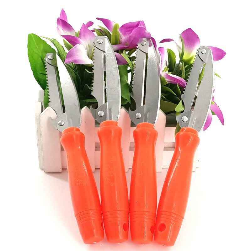 Multifunctional Paring Knife Fruit Knife Metal Peeler Kitchen Gadget Marvelous Apple Peeler Vegetable and Fruit Peeling