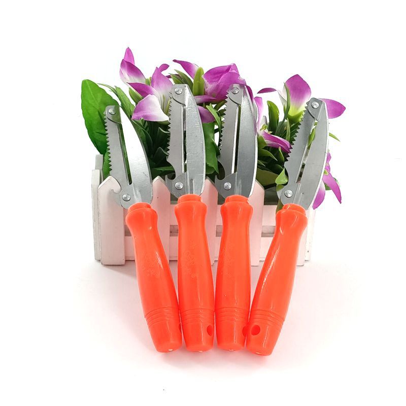 Multifunctional Paring Knife Fruit Knife Metal Peeler Kitchen Gadget Marvelous Apple Peeler Vegetable and Fruit Peeling