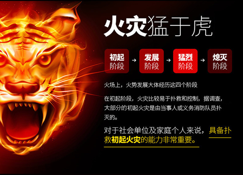 Car Flash Fire Extinguisher Small Portable Car Private Household Car Water-Based Car Fire Fighting Equipment Car Flash Fire Extinguisher Small Portable Car Private Household Car Water-Based Car Fire Fighting Equipment