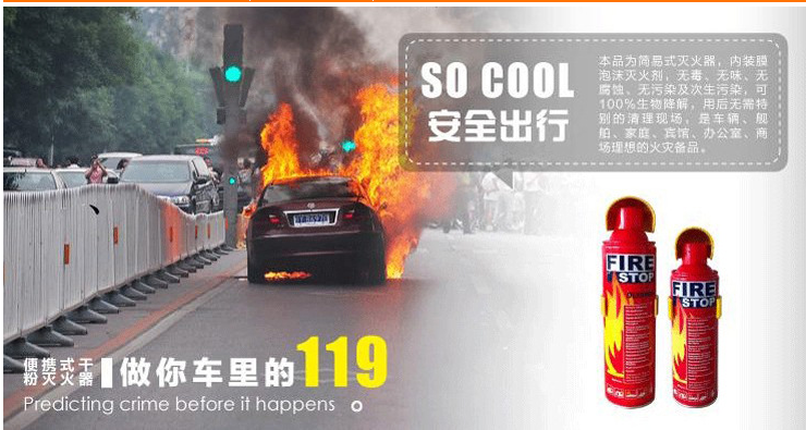 Genuine mini 1000ml fire extinguisher vehicle dual-use foam fire extinguishers