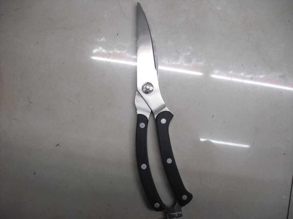 The high-end kitchen is scissors. The chicken bone is scissors