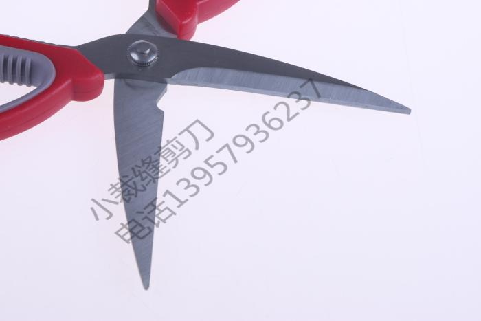 Household Scissors