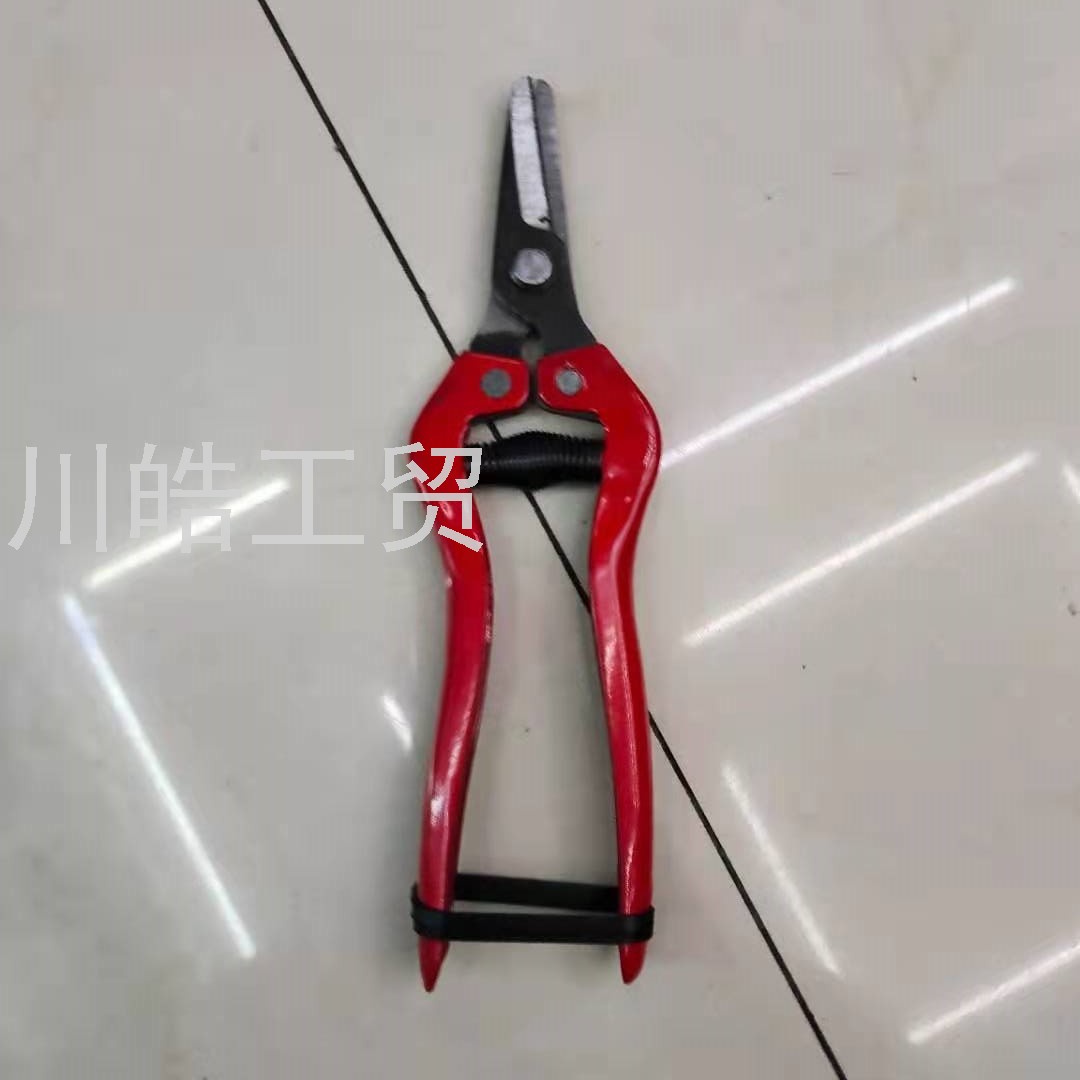 Garden Pruning Pruning Shear Gardening Scissors Floral Scissors Fruit Tree Pet Scissors Potted Pruning Shear Garden Tools