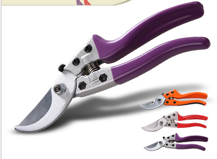 Durable Stainless Steel Pruning Shears Garden Tools Pruning Flower Branches and Fruit Tree Shears Cutter Grape Leaf Bud Repair Scissors Wholesale
