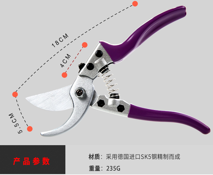 Durable Stainless Steel Pruning Shears Garden Tools Pruning Flower Branches and Fruit Tree Shears Cutter Grape Leaf Bud Repair Scissors Wholesale