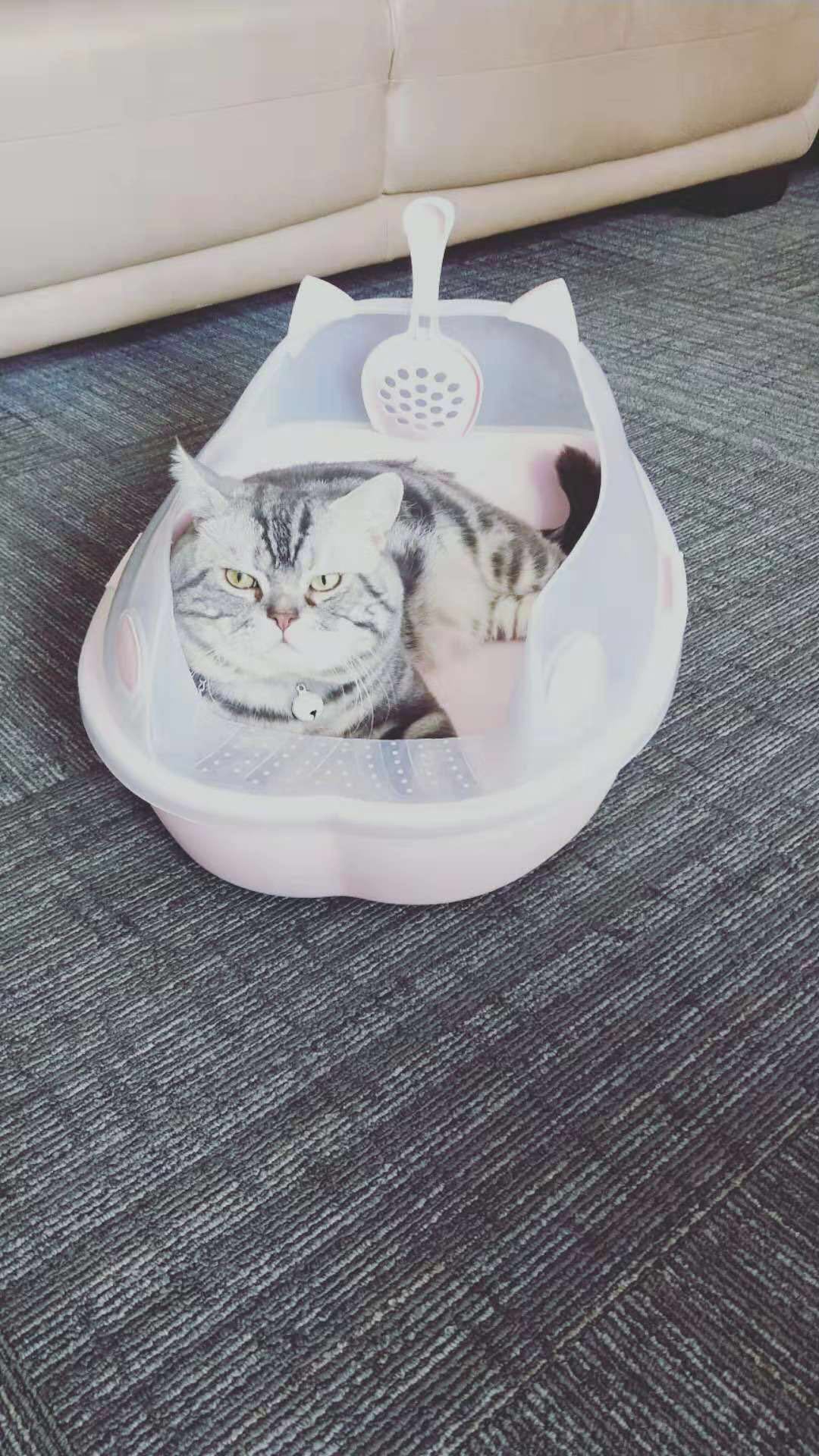 Semi-enclosed cat litter pan cat toilet cat bedpan cat litter pan pet supplies with spatula does not contain cat litter Semi-enclosed cat litter pan cat toilet cat bedpan cat litter pan pet supplies with spatula does not contain cat litter