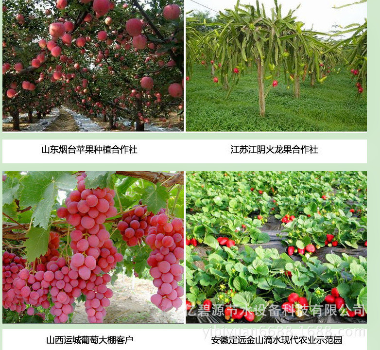 Water-Saving Irrigation Equipment Factory Wholesale Specification Drip Irrigation Pipe Fittings Plastic Rotation Sprayer G Type Micro Sprinkler