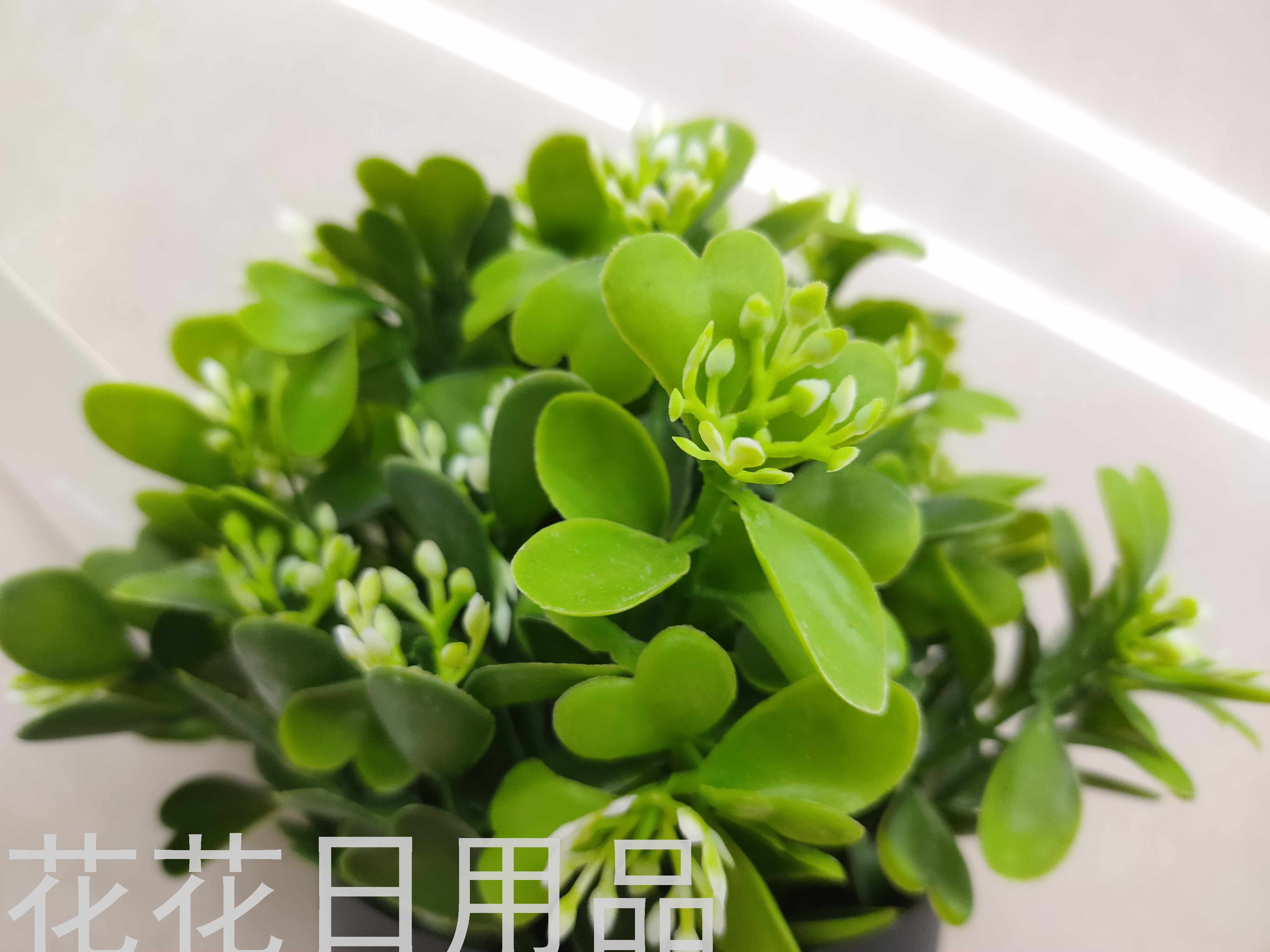 Artificial/Fake Flower Black Plastic Basin Greenery Bonsai Decorative Living Room Bedroom Dining Table and So on