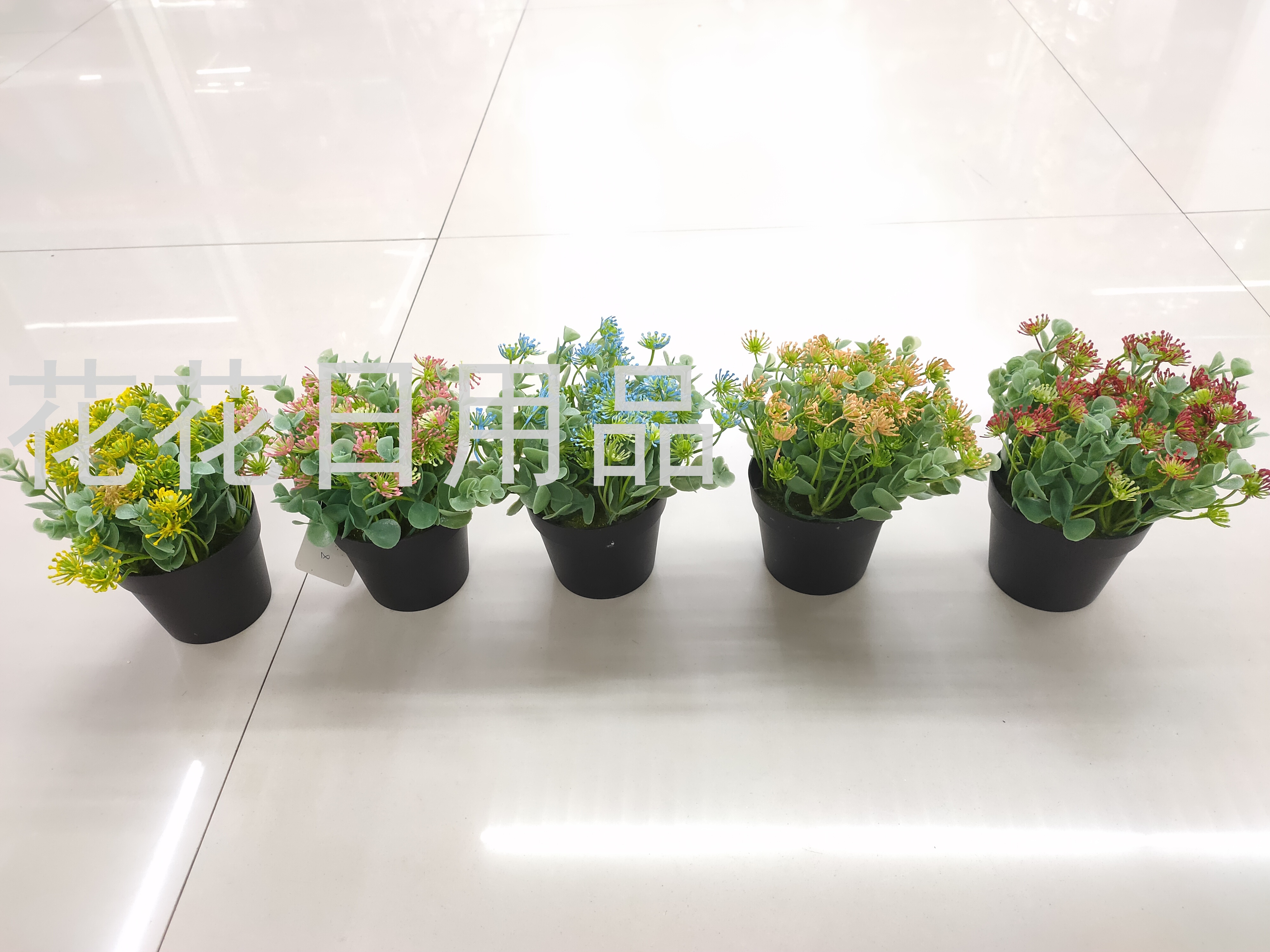 New Black Plastic Basin Eucalyptus Accessories Small Flower Bonsai Artificial/Fake Flower Crafts Ornaments