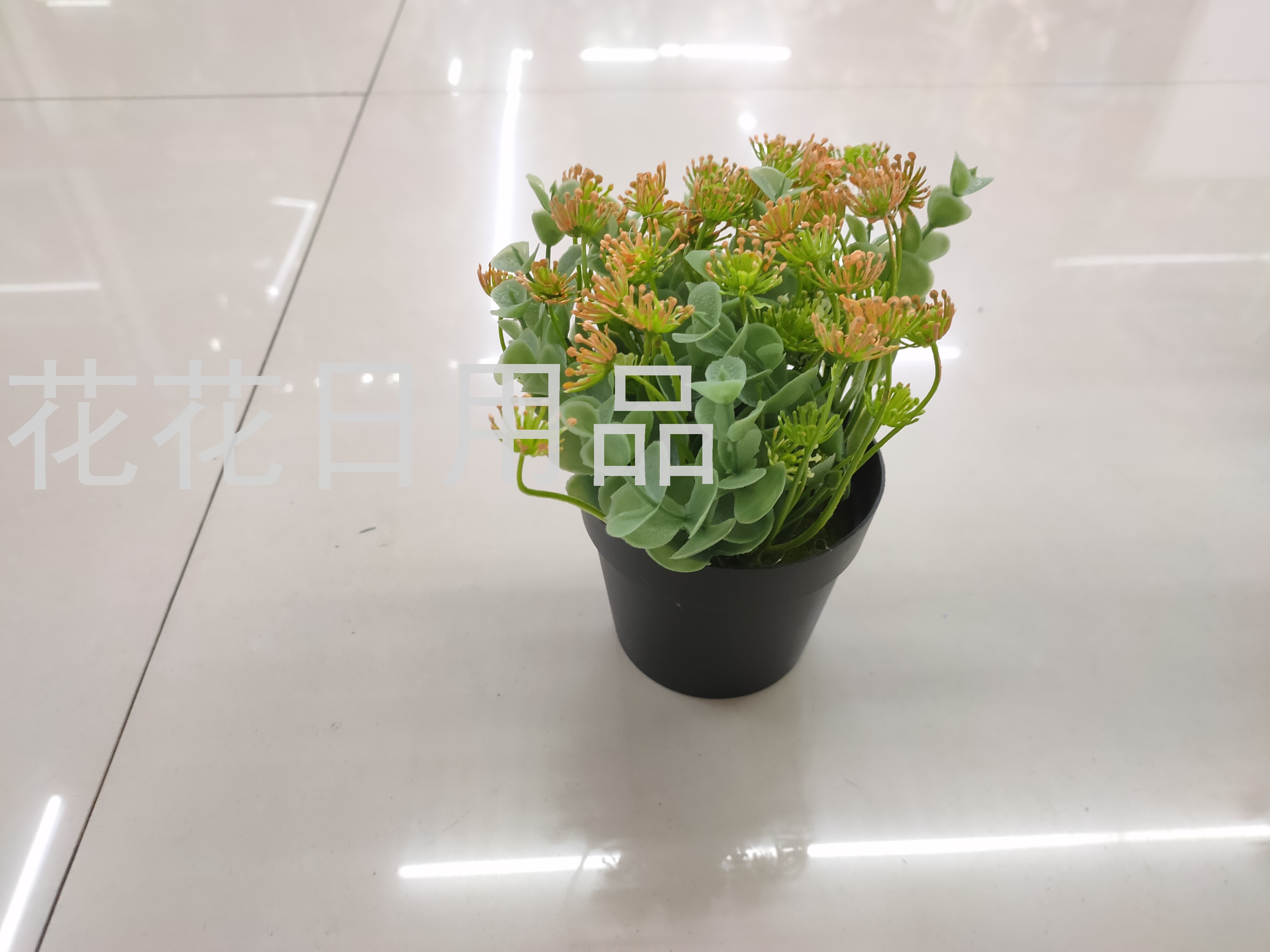 New Black Plastic Basin Eucalyptus Accessories Small Flower Bonsai Artificial/Fake Flower Crafts Ornaments
