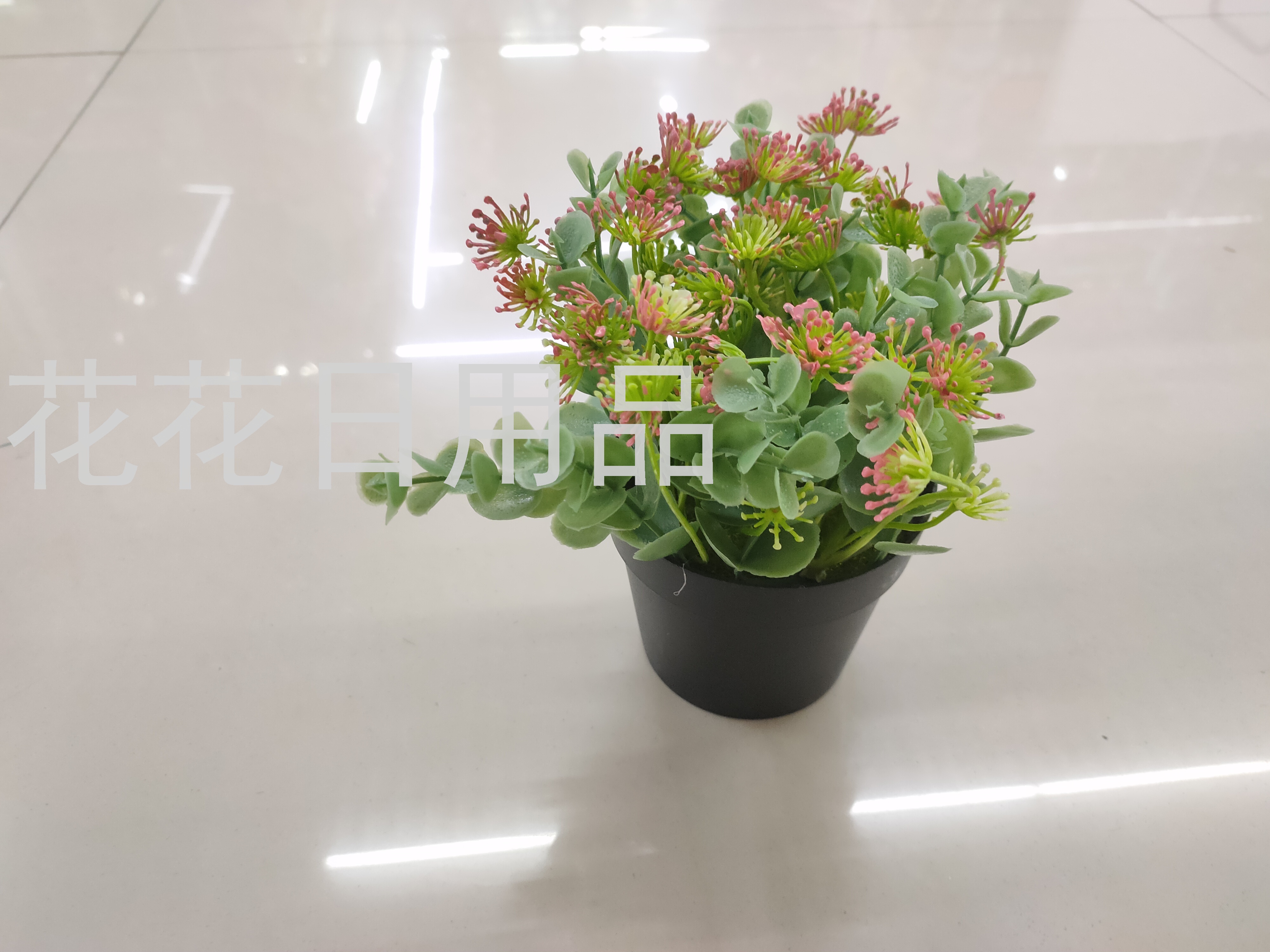 New Black Plastic Basin Eucalyptus Accessories Small Flower Bonsai Artificial/Fake Flower Crafts Ornaments