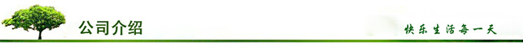 Creative 6-Inch Solid Wood Photo Frame Printed Logo7-Inch Creative Photo Wall Picture Frame 8-Inch Children's Table 10-Inch Photo Frame A4