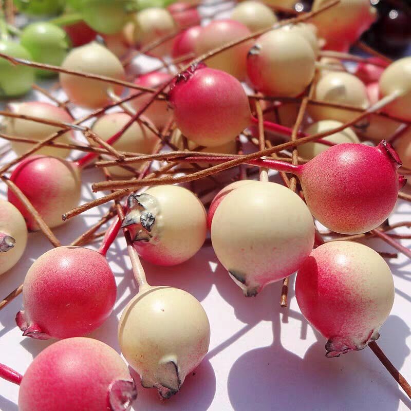 Artificial Flower Cherry Berry Eternal Flower Dried Flower Plant DIY Wedding Supplies home decor  Fake Flower