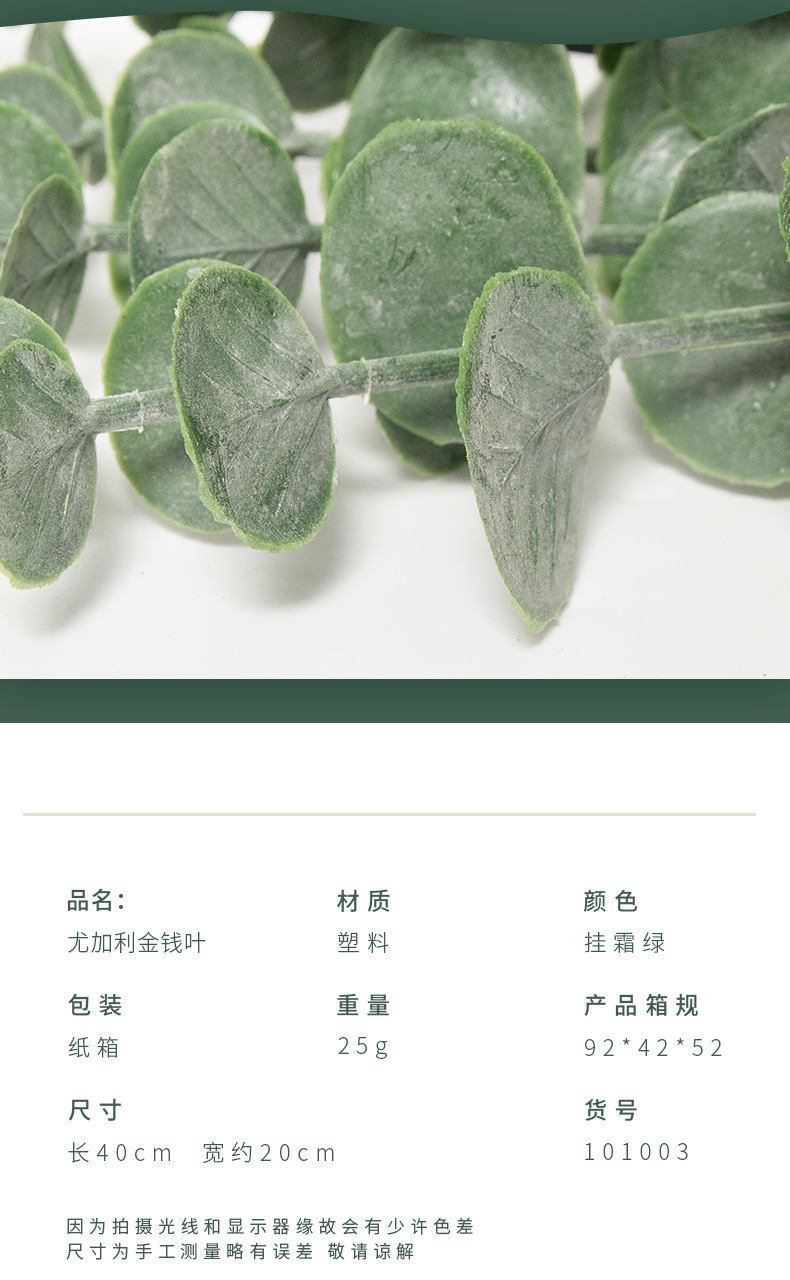 Cross-Border Artificial Plant Factory Discount Soft Plastic Eucalyptus Zamioculcas Leaves Home Decorative Fake Flower Artificial Flower Wholesale Cross-Border Artificial Plant Factory Discount Soft Plastic Eucalyptus Zamioculcas Leaves Home Decorative Fake Flower Artificial Flower Wholesale