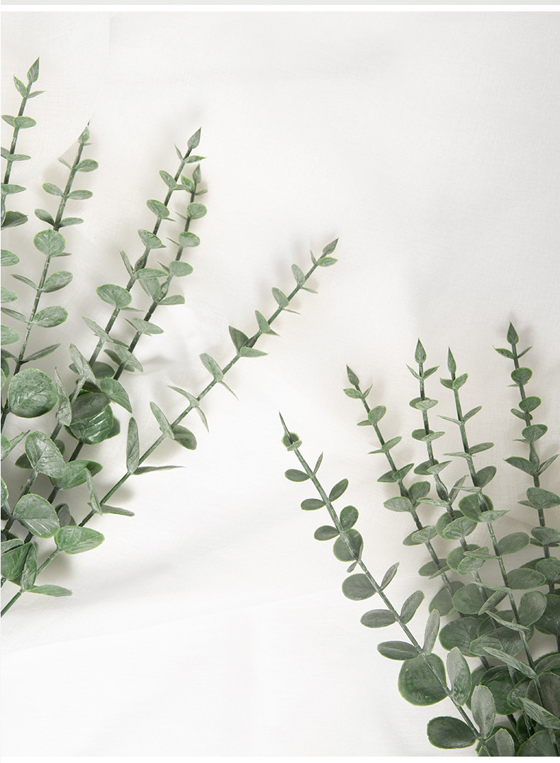 Cross-Border Artificial Plant Factory Discount Soft Plastic Eucalyptus Zamioculcas Leaves Home Decorative Fake Flower Artificial Flower Wholesale Cross-Border Artificial Plant Factory Discount Soft Plastic Eucalyptus Zamioculcas Leaves Home Decorative Fake Flower Artificial Flower Wholesale