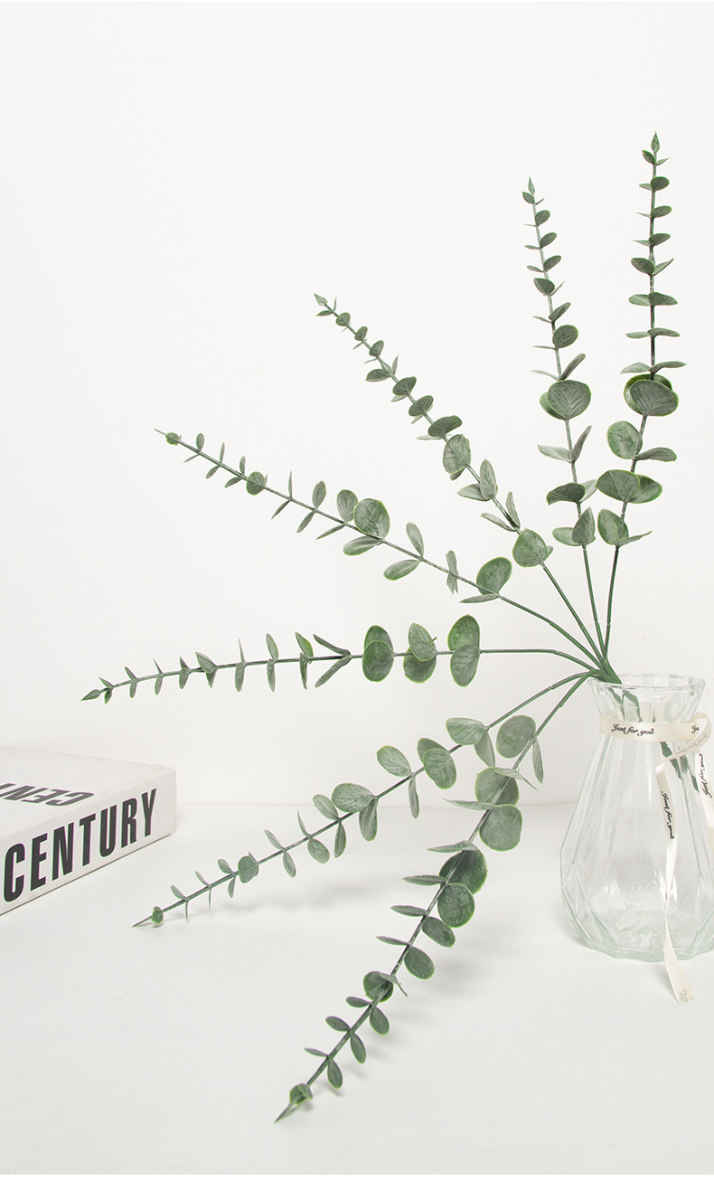 Cross-Border Artificial Plant Factory Discount Soft Plastic Eucalyptus Zamioculcas Leaves Home Decorative Fake Flower Artificial Flower Wholesale Cross-Border Artificial Plant Factory Discount Soft Plastic Eucalyptus Zamioculcas Leaves Home Decorative Fake Flower Artificial Flower Wholesale