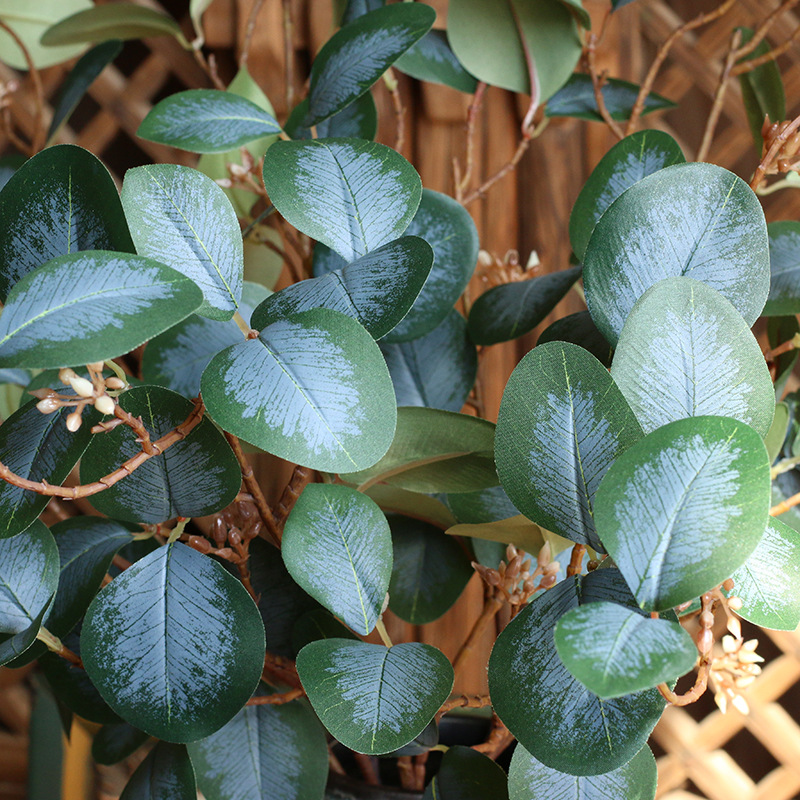 Simulation with Fruit Feel Nordic Eucalyptus Leaf Artificial Flower Plant Decoration Single Zamioculcas Leaves Eucalyptus