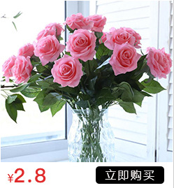 Simulation with Fruit Feel Nordic Eucalyptus Leaf Artificial Flower Plant Decoration Single Zamioculcas Leaves Eucalyptus Simulation with Fruit Feel Nordic Eucalyptus Leaf Artificial Flower Plant Decoration Single Zamioculcas Leaves Eucalyptus