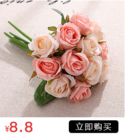 Simulation with Fruit Feel Nordic Eucalyptus Leaf Artificial Flower Plant Decoration Single Zamioculcas Leaves Eucalyptus Simulation with Fruit Feel Nordic Eucalyptus Leaf Artificial Flower Plant Decoration Single Zamioculcas Leaves Eucalyptus