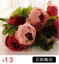 Simulation with Fruit Feel Nordic Eucalyptus Leaf Artificial Flower Plant Decoration Single Zamioculcas Leaves Eucalyptus Simulation with Fruit Feel Nordic Eucalyptus Leaf Artificial Flower Plant Decoration Single Zamioculcas Leaves Eucalyptus