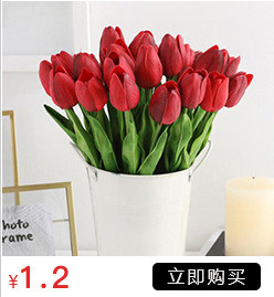 Simulation with Fruit Feel Nordic Eucalyptus Leaf Artificial Flower Plant Decoration Single Zamioculcas Leaves Eucalyptus Simulation with Fruit Feel Nordic Eucalyptus Leaf Artificial Flower Plant Decoration Single Zamioculcas Leaves Eucalyptus
