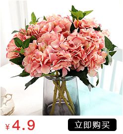 Simulation with Fruit Feel Nordic Eucalyptus Leaf Artificial Flower Plant Decoration Single Zamioculcas Leaves Eucalyptus Simulation with Fruit Feel Nordic Eucalyptus Leaf Artificial Flower Plant Decoration Single Zamioculcas Leaves Eucalyptus