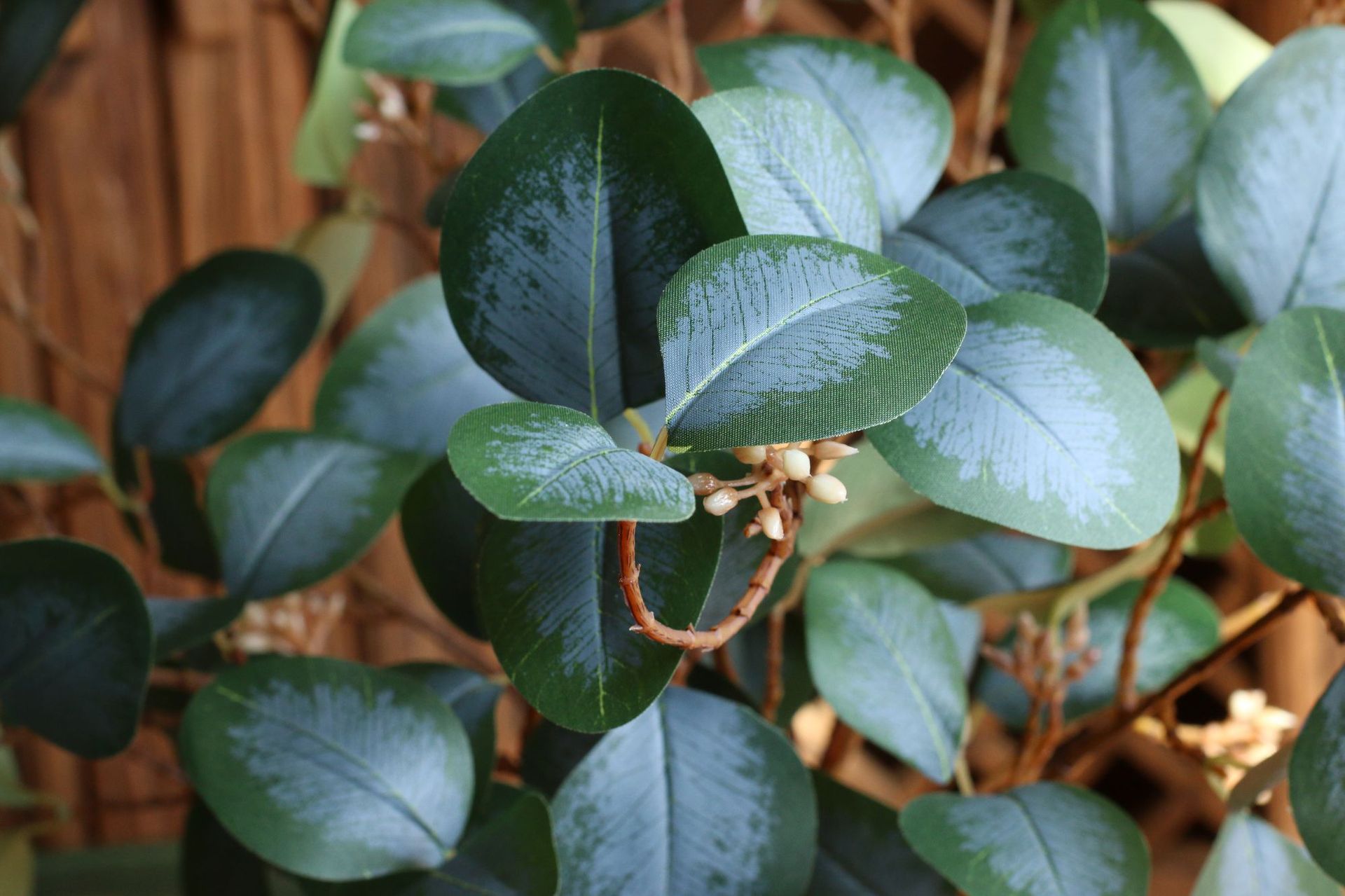Simulation with Fruit Feel Nordic Eucalyptus Leaf Artificial Flower Plant Decoration Single Zamioculcas Leaves Eucalyptus Simulation with Fruit Feel Nordic Eucalyptus Leaf Artificial Flower Plant Decoration Single Zamioculcas Leaves Eucalyptus