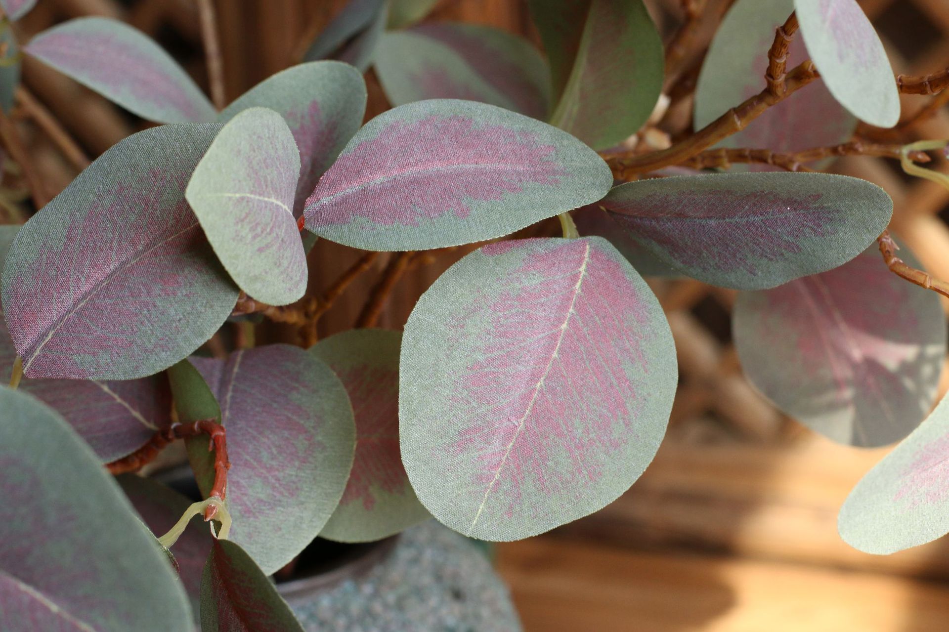 Simulation with Fruit Feel Nordic Eucalyptus Leaf Artificial Flower Plant Decoration Single Zamioculcas Leaves Eucalyptus Simulation with Fruit Feel Nordic Eucalyptus Leaf Artificial Flower Plant Decoration Single Zamioculcas Leaves Eucalyptus
