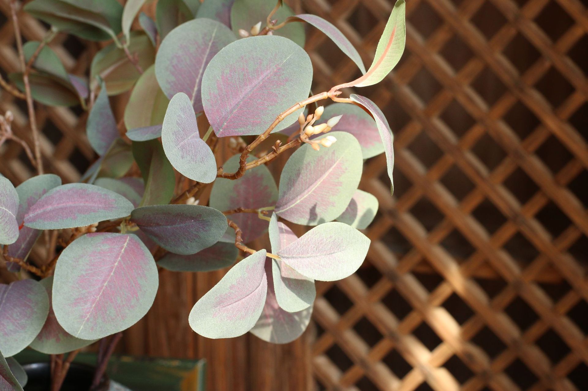Simulation with Fruit Feel Nordic Eucalyptus Leaf Artificial Flower Plant Decoration Single Zamioculcas Leaves Eucalyptus Simulation with Fruit Feel Nordic Eucalyptus Leaf Artificial Flower Plant Decoration Single Zamioculcas Leaves Eucalyptus