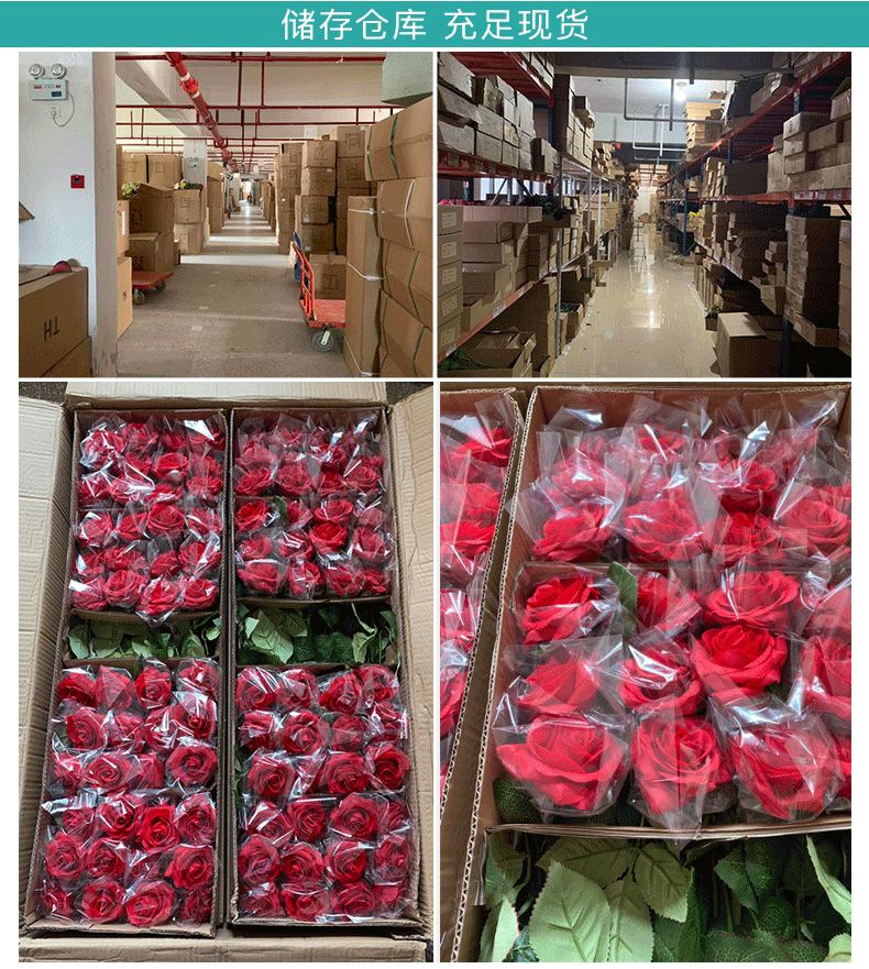 Simulation with Fruit Feel Nordic Eucalyptus Leaf Artificial Flower Plant Decoration Single Zamioculcas Leaves Eucalyptus Simulation with Fruit Feel Nordic Eucalyptus Leaf Artificial Flower Plant Decoration Single Zamioculcas Leaves Eucalyptus