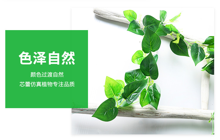 Artificial Grape Leaves Fake Flower Rattan Green Leaf Green Radish Vine Plant Water Pipe Ceiling Decorative Plastic Leaves Artificial Grape Leaves Fake Flower Rattan Green Leaf Green Radish Vine Plant Water Pipe Ceiling Decorative Plastic Leaves