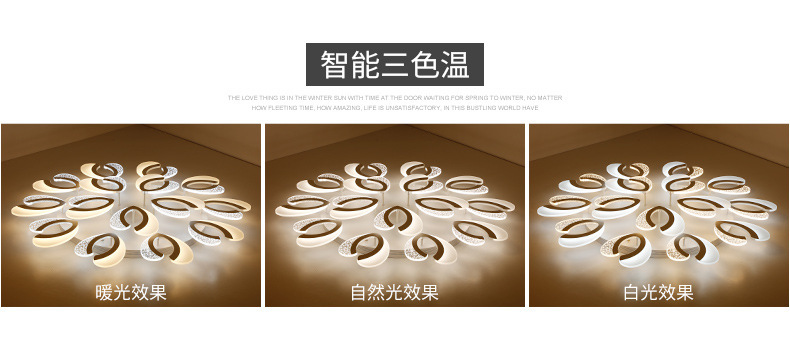 Fashion Atmosphere Lamp in the Living Room Flower-Shaped Creative Energy-Saving LED Ceiling Light Art Warm Home Master Bedroom Lobby Light Fashion Atmosphere Lamp in the Living Room Flower-Shaped Creative Energy-Saving LED Ceiling Light Art Warm Home Master Bedroom Lobby Light