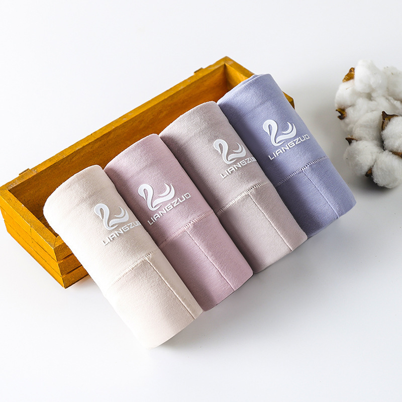 Cotton Underwear Swan Belly Warming Palace Large Size Plump Girls Graphene Antibacterial Crotch Triangle Underwear