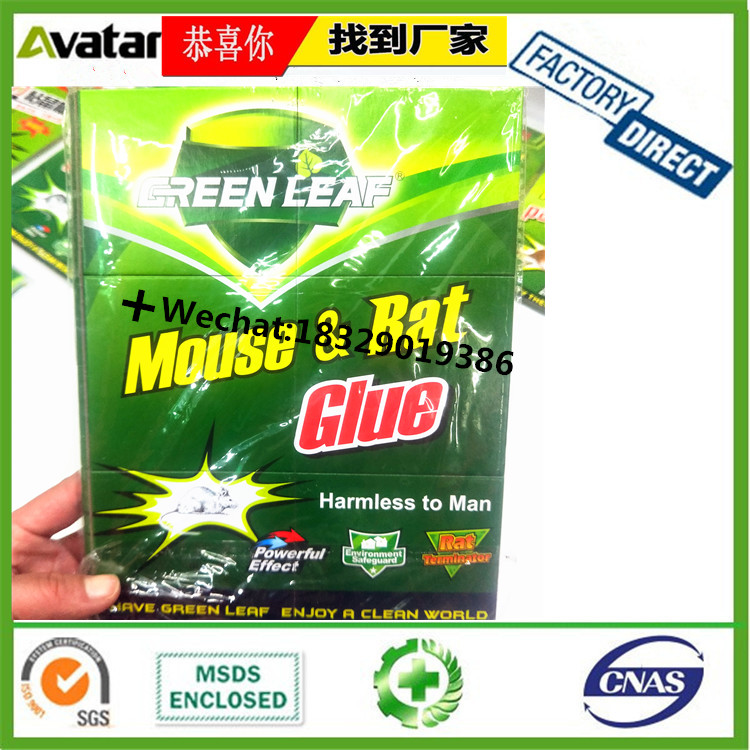 GREEN LIVE yellow paper mouse glue trap, glue rat board, mice sticking plate GREEN LIVE yellow paper mouse glue trap, glue rat board, mice sticking plate