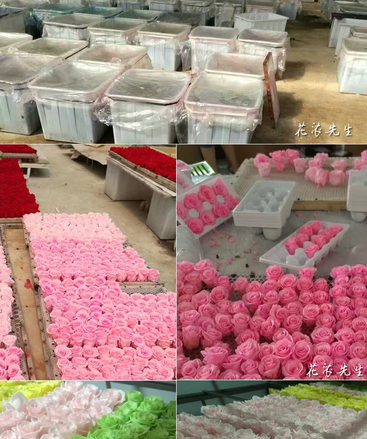 Grade Preserved Fresh Flower Keychain Making Car Hanging Accessories Gift Box Flowers DIY Auxiliary Materials Garland